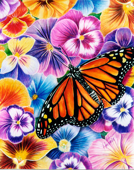 Цветы и бабочки - бабочки, бабочка, анютки, анютины глазки, цветы, нежные лепестки - оригинал