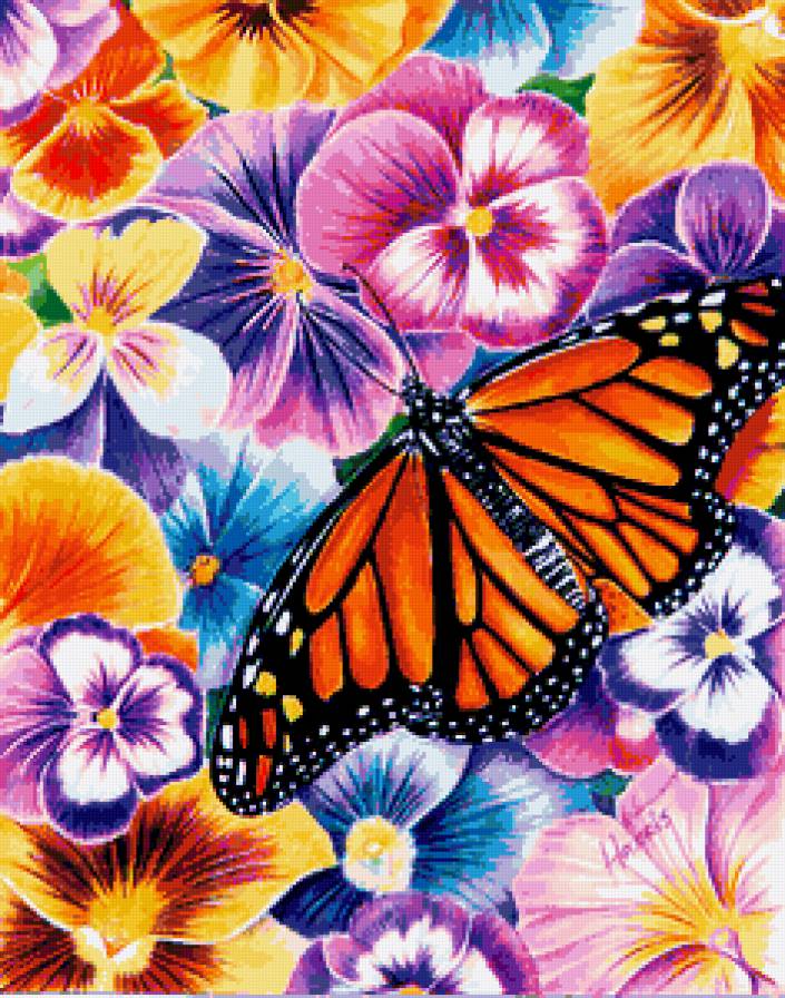 Цветы и бабочки - бабочка, анютки, цветы, бабочки, нежные лепестки, анютины глазки - предпросмотр