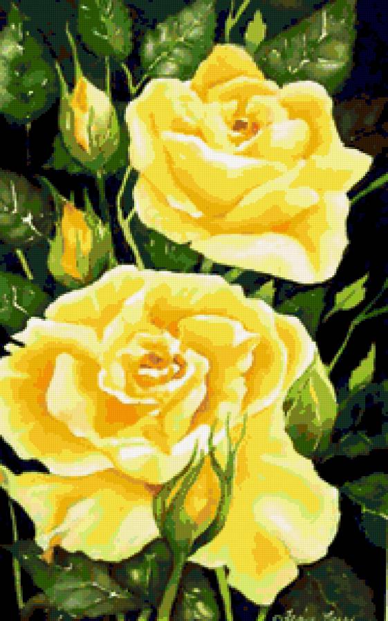 Жёлтые розы - желтые розы, цветы, роза, розы, цветочное панно, желтые, розочки - предпросмотр