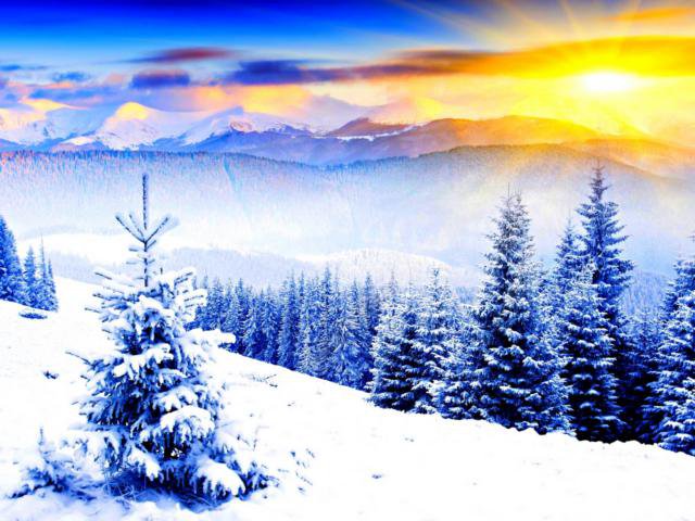 Зима - ели, закат, пейзаж, зима - оригинал