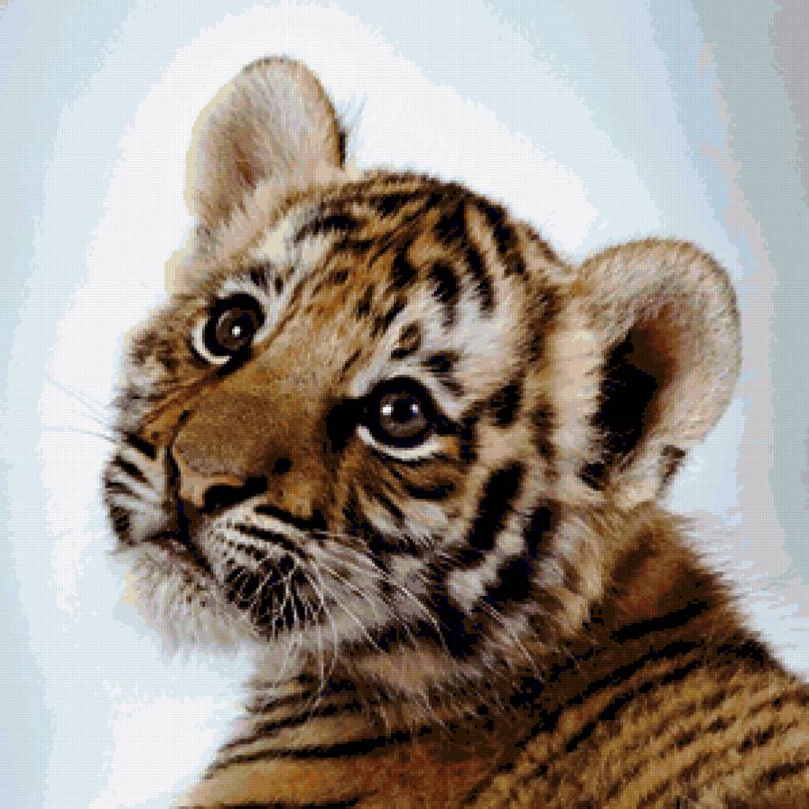 Тигрёнок - рятигры, дикие кошки, животные, тигренок, малыши - предпросмотр