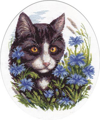 Кот в васильках - коты, васильки, цветы, кошки в цветах, кошки, кот, животные - оригинал