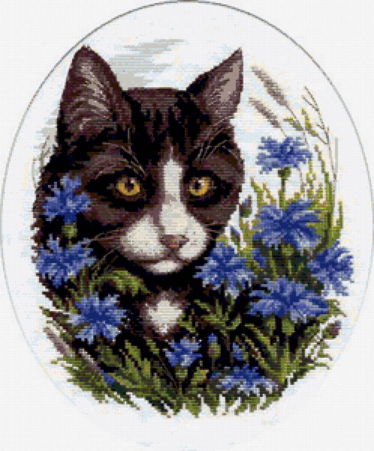 Кот в васильках - коты, кот, кошки в цветах, кошки, животные, цветы, васильки - предпросмотр