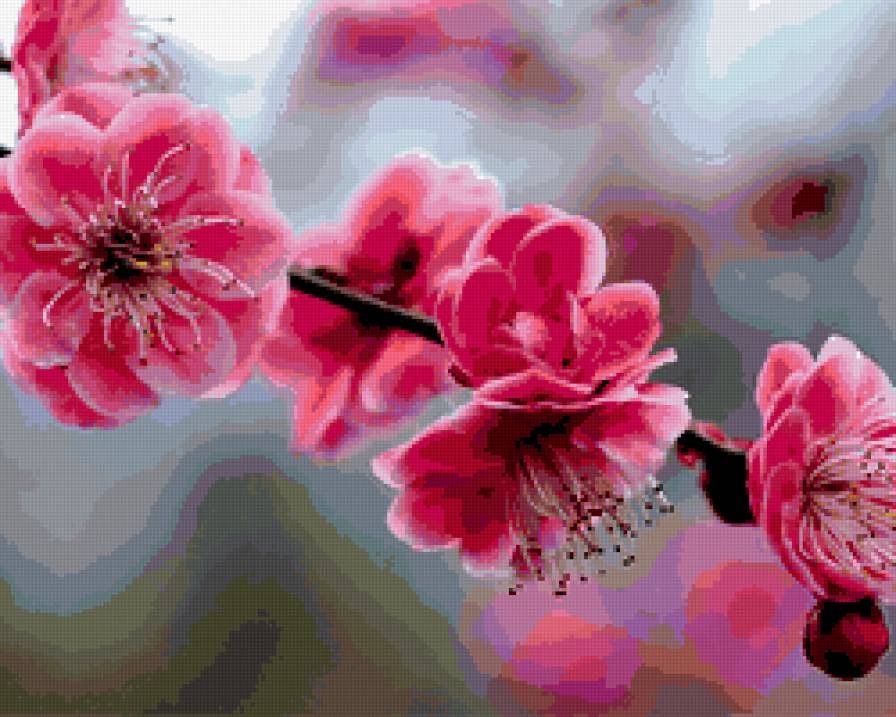 Ветка сакуры - сакура ветка цветок - предпросмотр