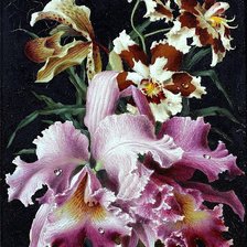 Оригинал схемы вышивки «цветы» (№196147)