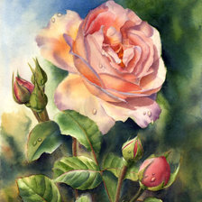 Оригинал схемы вышивки «розы» (№196179)