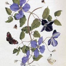 Оригинал схемы вышивки «Цветы и бабочки» (№196241)