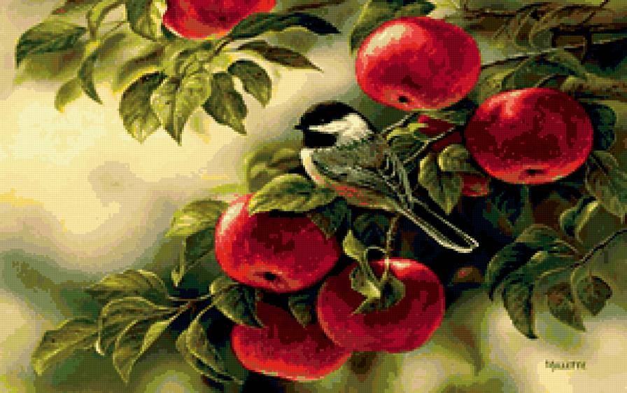 Rosemary Millette Prints - птицы природа флора фауна яблоки - предпросмотр