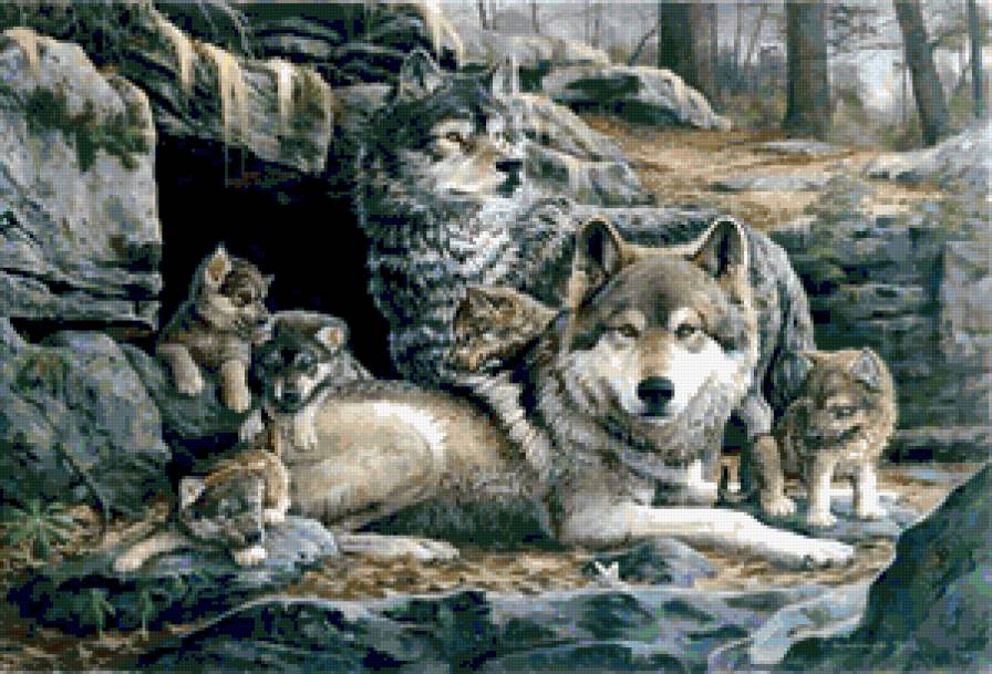 волчья семья - волк, , природа, малыши, волчата, животные, волки - предпросмотр