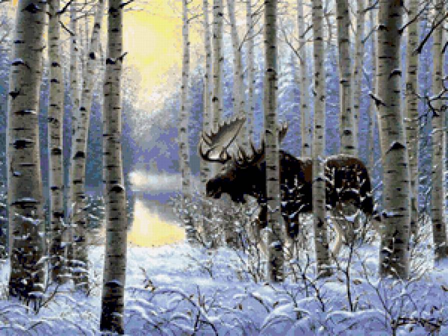 лось - пейзаж, осинки, природа, лес, животные, снег, лоси, лось, зима - предпросмотр