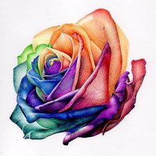 Схема вышивки «роза многоцветная»