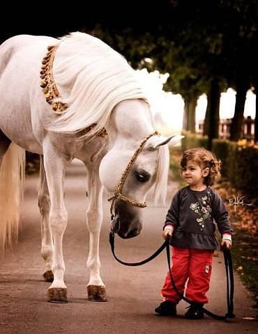 девочка с лошадкой - оригинал