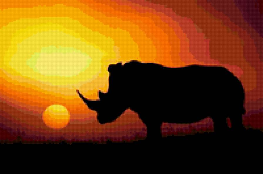 Носорог - носорог. закат, австралия - предпросмотр