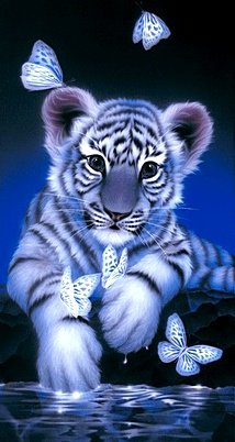 Тигрёнок - животные, тигры - оригинал
