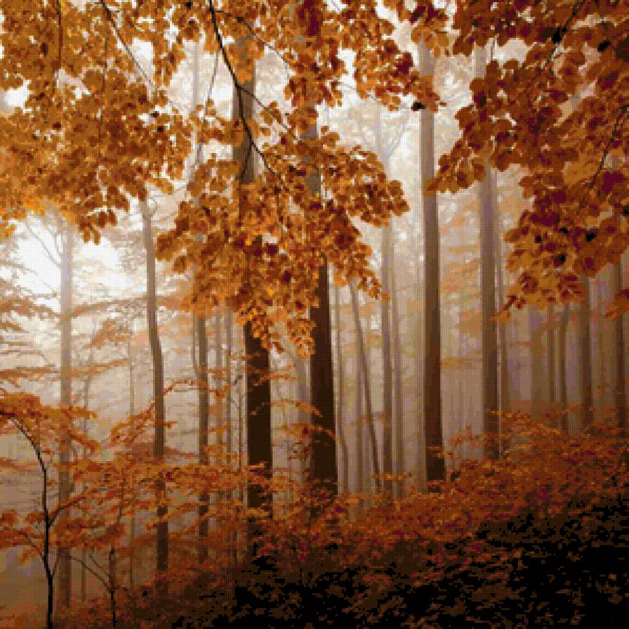 Туман - туман, природа, лес, осень - предпросмотр