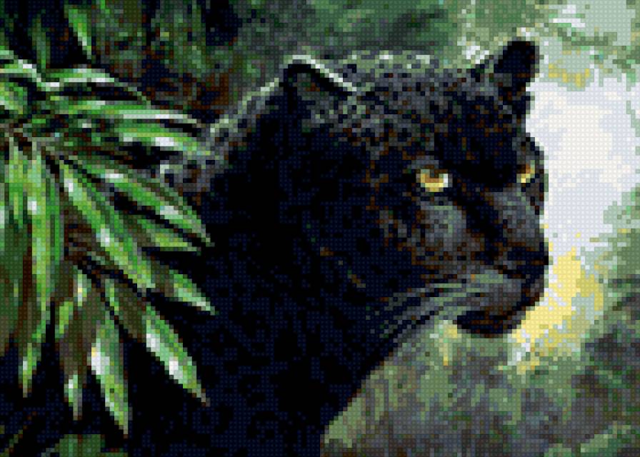 Пантера в джунглях - природа, животные, пантера - предпросмотр