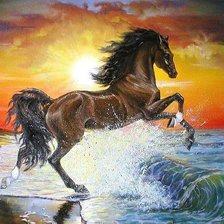 лошадь закат море