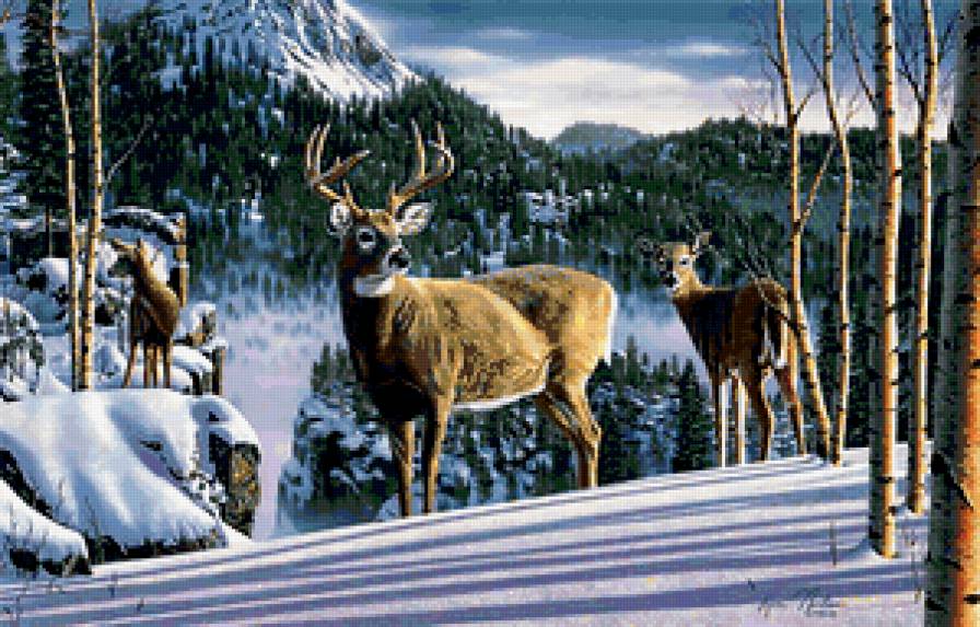 олени - олень, лес, природа, животные, зима, пейзаж - предпросмотр