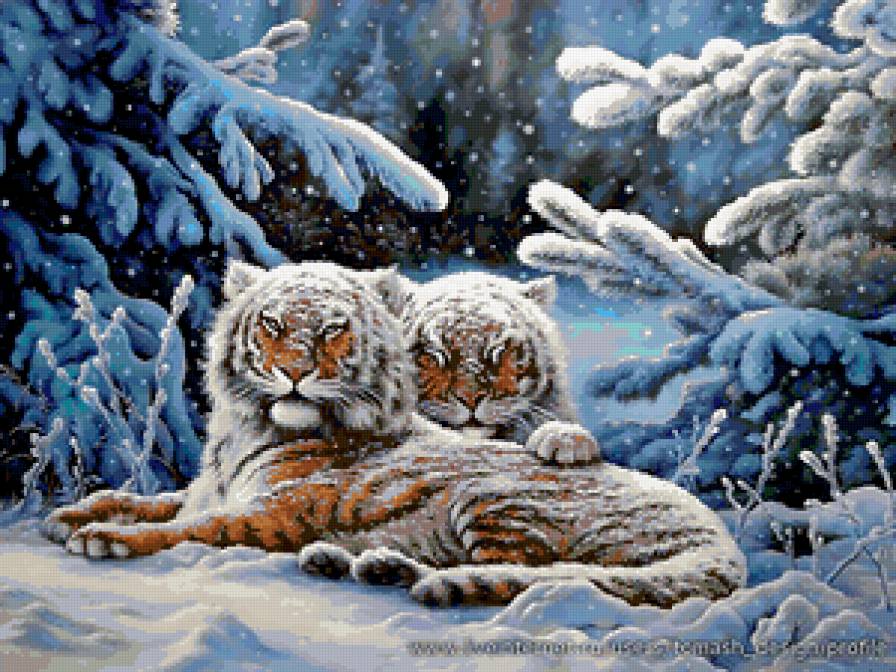 тигр - тигры, хищники, зима, животные, природа, кошки - предпросмотр