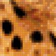 Предпросмотр схемы вышивки «леопард» (№199861)