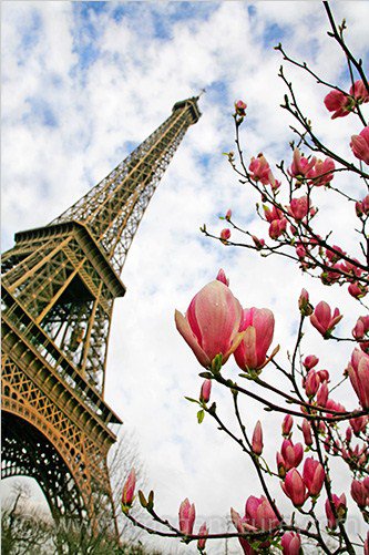 париж весной - эйфелева башня, весна, париж - оригинал