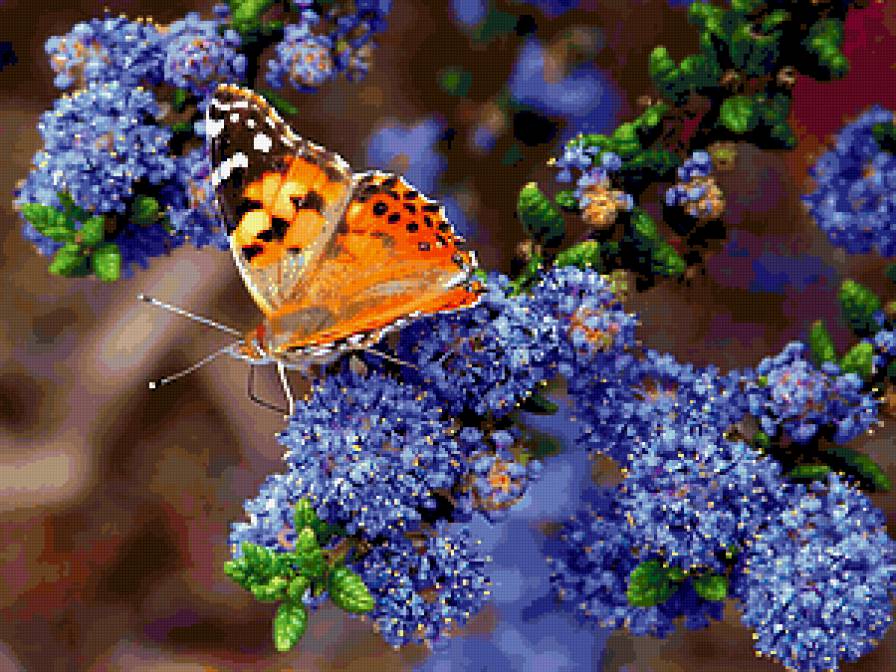 Бабочка в цветах - сирень, бабочка, цветы - предпросмотр