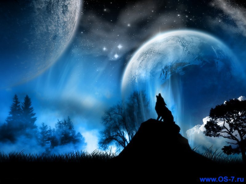 волк на луну - природа, пейзаж, волк - оригинал