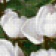 Предпросмотр схемы вышивки «Прекрасные цветы от Лонгре 9» (№200636)