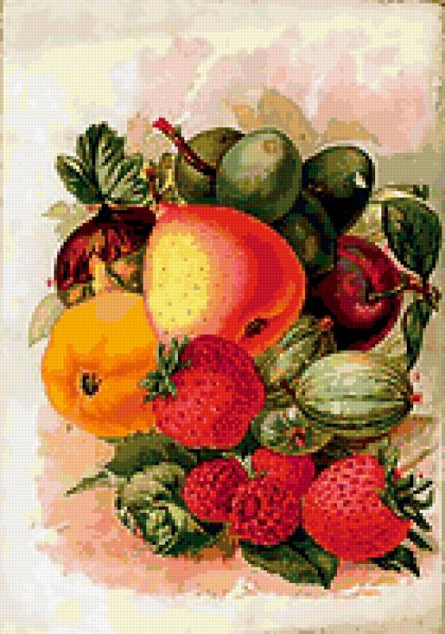 Фрукты - ягоды, фрукты, натюрморт - предпросмотр