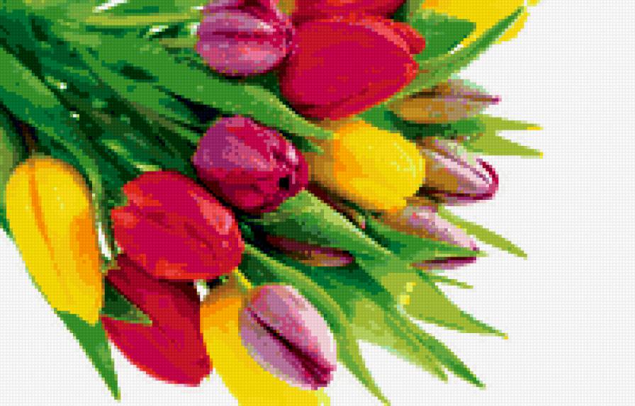 Букет тюльпанов - букет, цветы, тюльпаны - предпросмотр