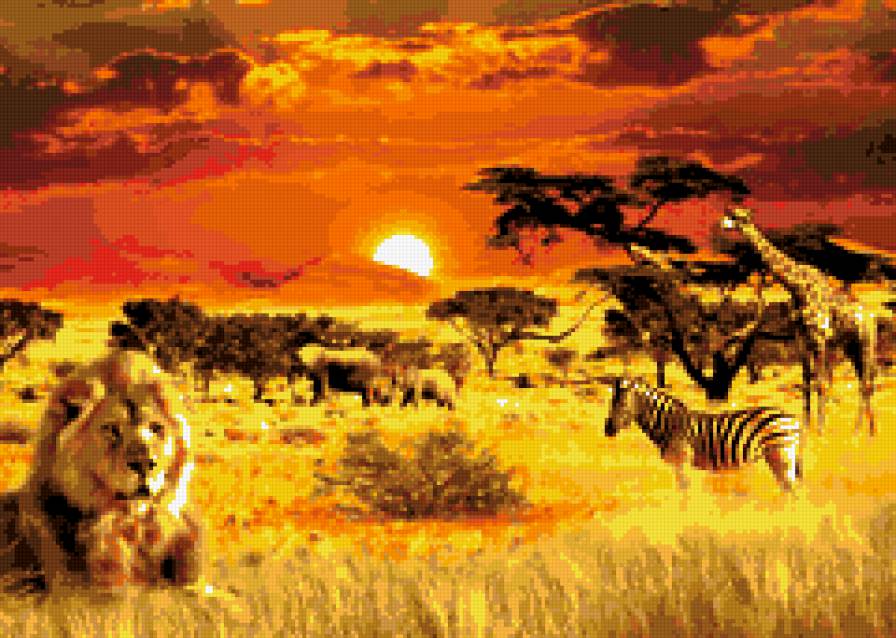 Африка - животные, африка - предпросмотр
