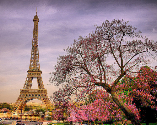 париж весной - весна, эйфелева башня, париж - оригинал