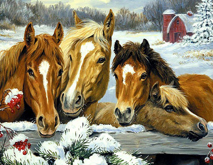 Лошадки - животные, снег, лошади, кони, зима - оригинал