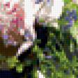 Предпросмотр схемы вышивки «цветы в вазе» (№202470)