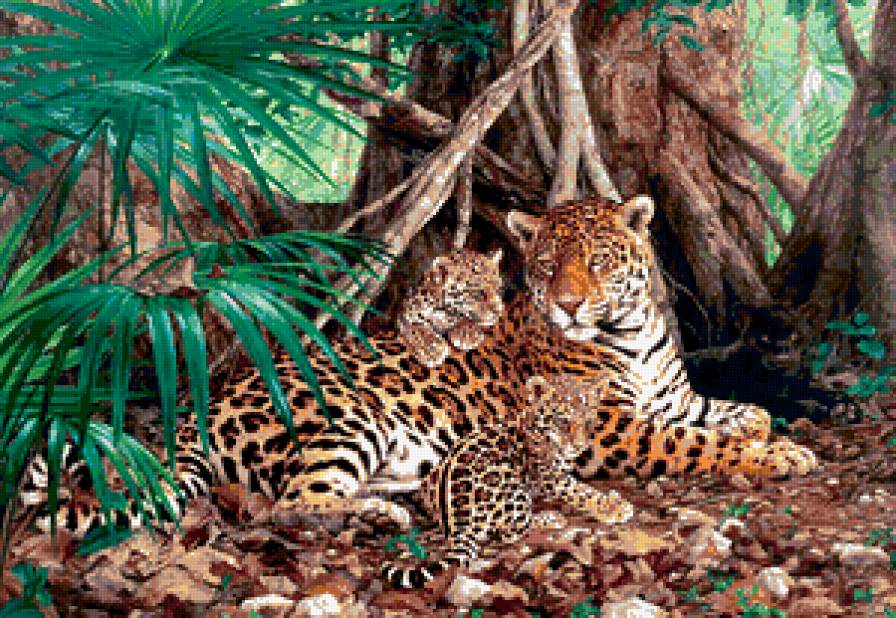 леопарды - животные, природа, хищники., леопард, кошки - предпросмотр