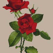 Оригинал схемы вышивки «Розы» (№203464)