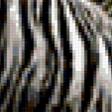 Предпросмотр схемы вышивки «тигры» (№203592)