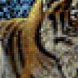 Предпросмотр схемы вышивки «тигры» (№203596)