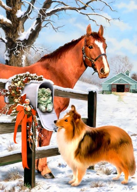 животные - собака, лошадь, котик, собаки, кошки, зима.рождество, коты, лошади - оригинал