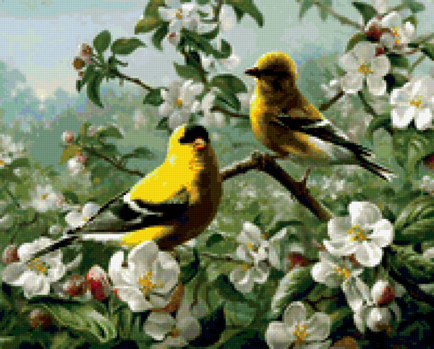 птицы - весна, природа, птицы, картина - предпросмотр