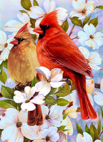 птицы - картина, природа, птицы, весна - оригинал