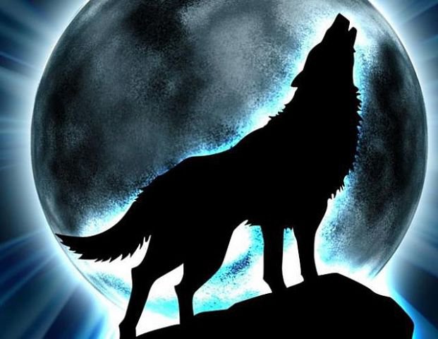Луна и волк - оригинал