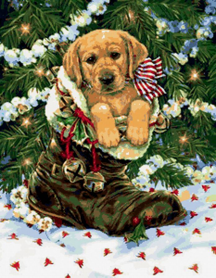 щенок - собаки, рождество, новый год, собака, животные, песик, собачка, зима - предпросмотр