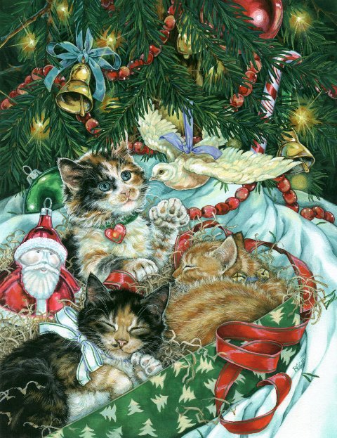 кошечки - кошка, новый год, коты, котик, голубь, рождество, кошки, животные, кот - оригинал