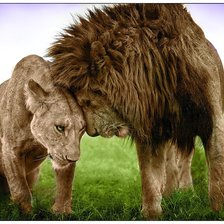 Схема вышивки «Любовь львов»