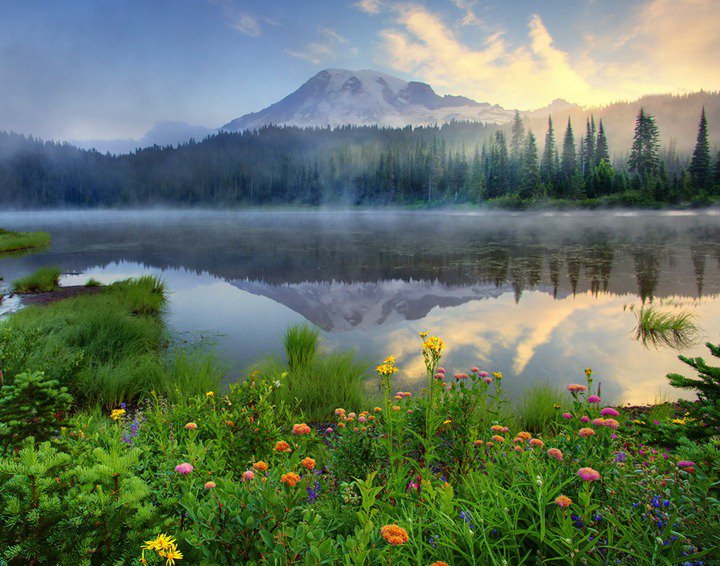 лето в горах - туман, цветы, вода, горы, лес, облака - оригинал