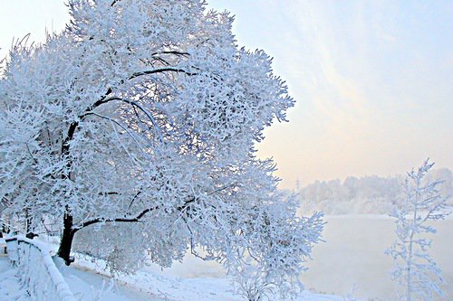 зима - дерево, снег, зима - оригинал