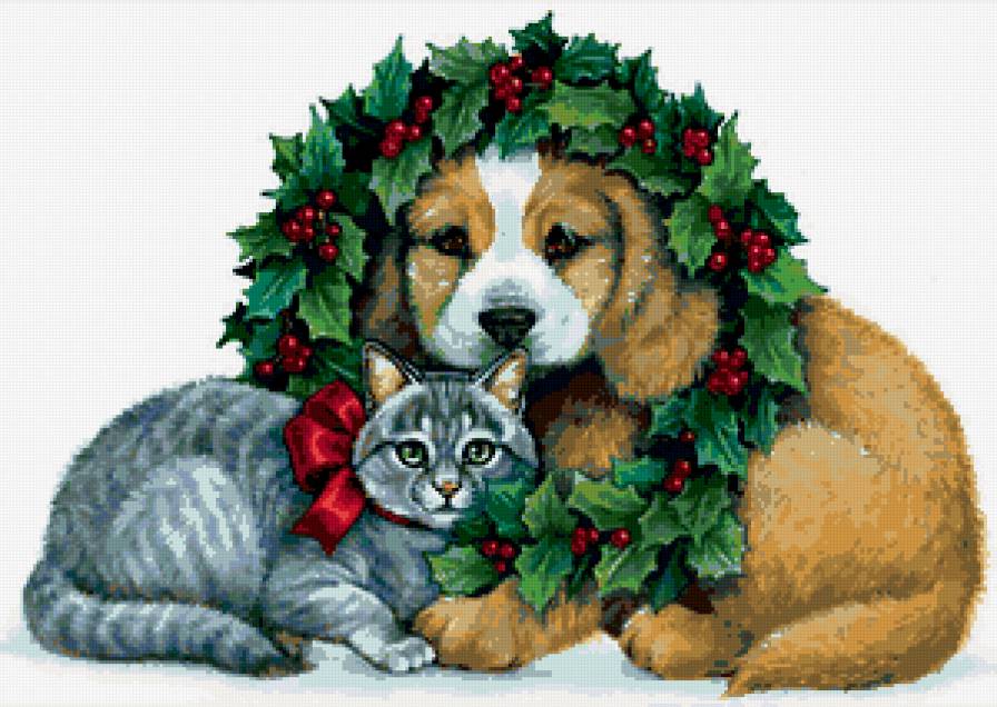 котик и собачка - собаки, коты, рождество, кошка, животные, кошки, собака - предпросмотр