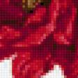 Предпросмотр схемы вышивки «пасхальный кактус» (№205231)