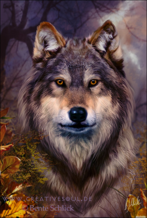волк - фауна - оригинал